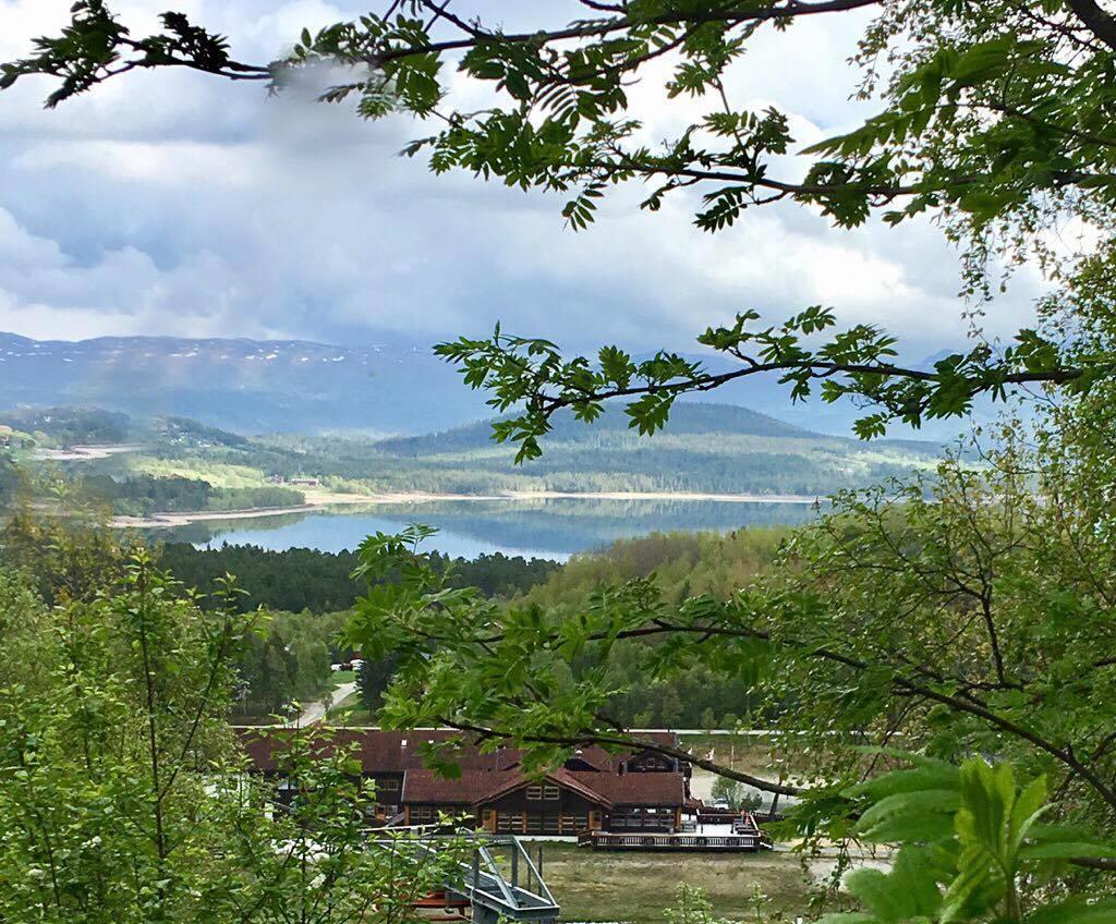 Aparthotel Raulandsfjell Exteriér fotografie